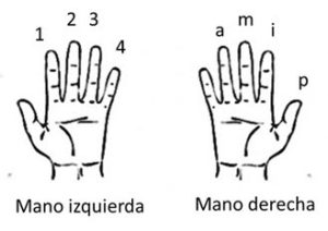 نامگذاری انگشتان دست برای نوازندگی
